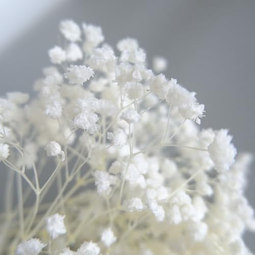 Ramo de flores secas de aliento de bebé 17 pulgadas miniatura 3
