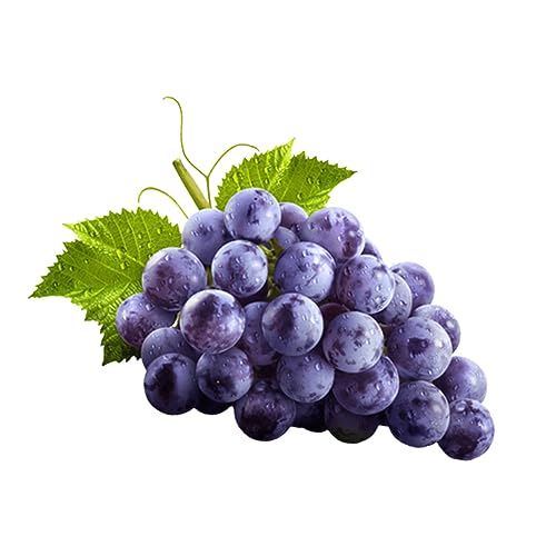 Muda de Uva Niágara Rosada Produtiva