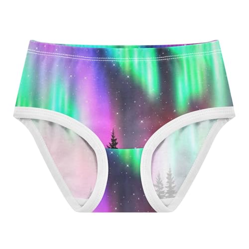 Animal Toddler Girls Underwear 2t Cotton Girl Panties Cute Vibrant Night Sky Colorful Aurora Briefs Girls Undies