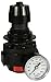 Dixon 3/8" Std High Pressure Regulator with Gauge, 148 SCFM (R26-03RHG)