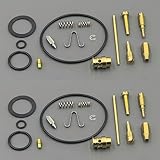 Carburetor Rebuild Kit 2 Pack for Honda FL250 Odyssey 1977-1984 Carb Repair with Main Jet #120