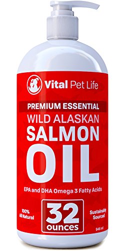 Best Omega Supplement For Horses