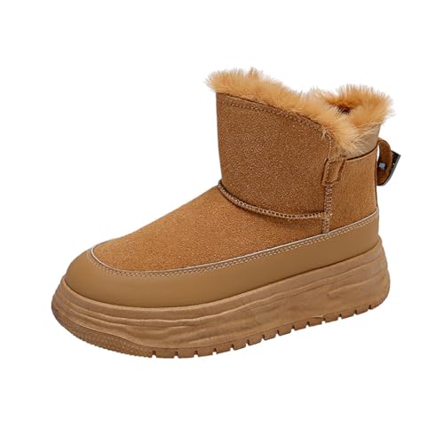 [] [gu[c fB[X  Xm[u[c tt C {A IV  ~ r  K h ۉ  ʊw ʋ JWA AEghA t@bV wlC l H~ 24.0 cm