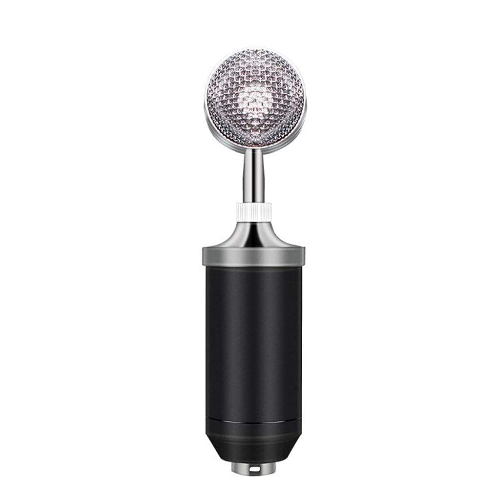 Kit Microfono a condensatore da 3,5 mm per Registrazione, Studio, Gaming, KTV, Karaoke, Computer, Compatibile con la Maggior Parte dei dispositivi (Nero)