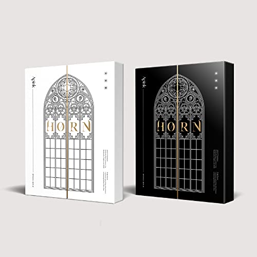 Apink Album Spécial Horn CD Pack Duo Édition Collector KPop Musique Coréenne