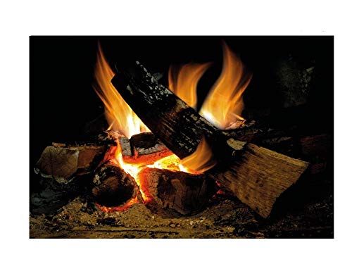 Wall Stickers Fireplace with Burning Log Fire Holiday Wall Decal Decoration Firewoods Flames Photorealistic Art Poster (Custom, Log Fire)