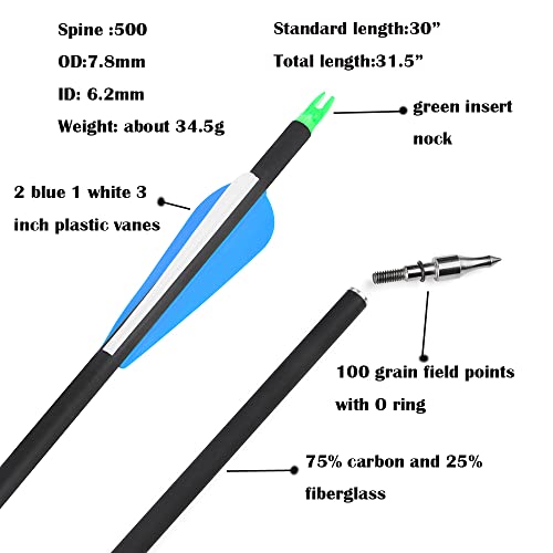 Compound Bow Kit For Adult And Beginner,Hunting Bow Archery Set With Alll Accessory,Draw Weight 30-55 Lbs, Right & Left Hand For Hunting Fishing Target Shooting (Left Handed, Black) #TOP6