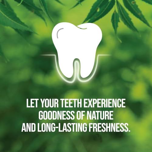 Image of NEEM ACTIVE Toothpaste 150gm + 150gm | 100% Vegetarian | 98% Natural Origin | Enriched With The Power of Neem And Calcium | Antibacterial Protection | Mint For Freshness