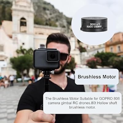 Drones Brushless Motor, Outdoor 260KV, 80t 1 for 3A Hollow Shaft Brushless Motor Drones, Low Noise and Low Power Consumption, for RC Drones, Camera((2204)) (1pcs)