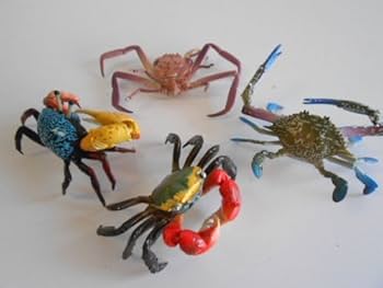 カプセルQミュージアム 日本カニ大全 蟹 フィギュア ガチャ 海洋