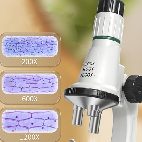 Microscope de salle de classe en plastique avec kit d'accessoires