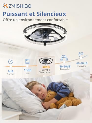 Ventilateur Plafond Chambre et Salon ZMISHIBO avec Timer Intégré