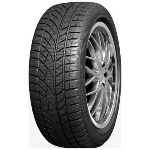 ROADX Winterreifen 255/50 R 19 XL TL 107H RX FROST WU01 MFS BSW M+S 3PMSF