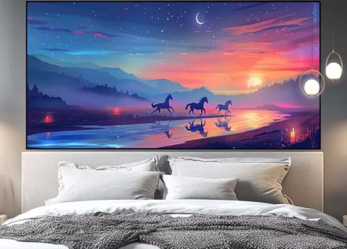 Diamond painting adulte xxl coucher de soleil 70x40cm broderie diamant complet