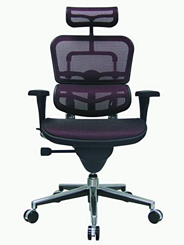 Image of Ergohuman Eurotech Seating High Back Mesh Managers Chair, Plum Red