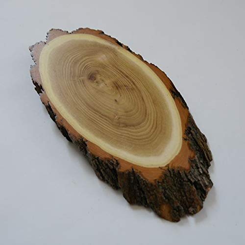 GTK - Geweihe & Trophäen KRUMHOLZ Akazie Reh Bock Trophäenschild AF 19 cm Rehbock Baumscheibe Baumschild