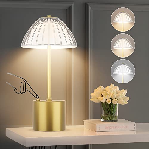 Aipsun Rechargeable Table Lamp Led Cordless Table Lamp Battery Powered 3 Color Stepless Dimming Portable Night Light Touch Table Lamps For Bedroom,Living Room #TOP1