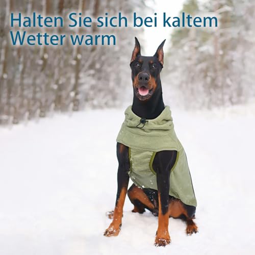 Katzinst Wintermantel Hund - Fleece Hundepullover Mittelgroße Hunde mit Leinenloch | Leichter Hundemantel mit Kapuze, Mantel für Hunde Winter, Französische Bulldogge, Grün (M)