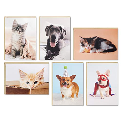 Cartes vierges Hallmark : lot de correspondance complet pour voeux et courriers