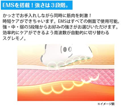 Amazon.co.jp: EMSカッサ : ビューティー