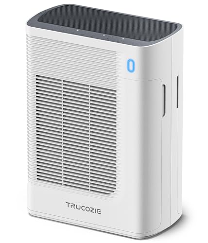 Image of T356 New White Air Purifier for Home Large Room Bedroom Up to 1937 Ft in 1 Hr With Double-sided Air Inlet, Air Quality and Light Sensors, HEPA Sleep Mode for Allergies, Dust, Smoke, Pet Hair
