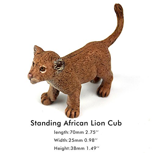 FUNSHOWCASE African Jungle Animals Standing Lion Cub Toy Figure Realistic Plastic Figurine Height 1.6-inch