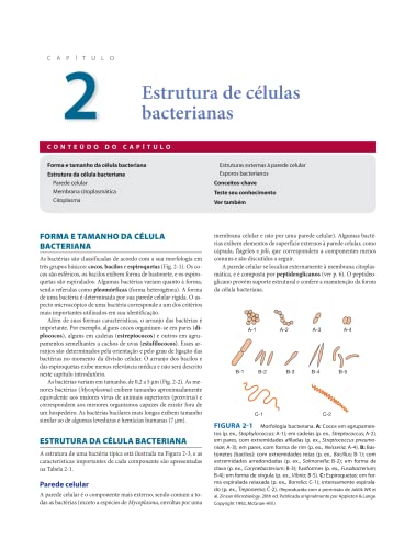 Microbiologia Médica e Imunologia: Um manual clínico para doenças infecciosas