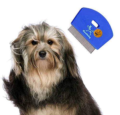 2 in 1 Adjustable Dog Brush/Pet Comb for Grooming cum Massager & safety for Pets from Mites/Lice/Ticks for Dog/Puppy/Kitten/Cat (Random Color) (B07DN1RPW1) Amazon Price History, Amazon Price Tracker