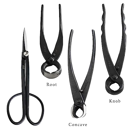 Kit profesional 6 piezas para bonsái Wazakura miniatura 2