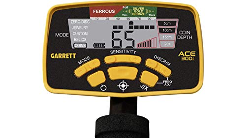 Garrett ACE 300i