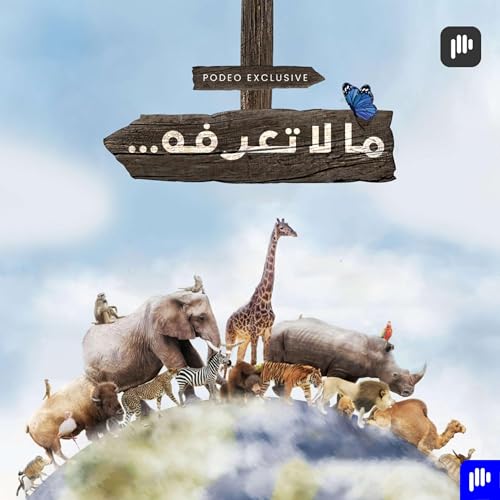 التمساح