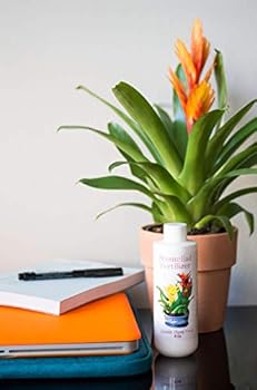 Amazon Com Bromeliad 肥料液體植物食品適用於羅梅拉德 古斯曼尼亞neoregelia Aechmea 和tillandsia Air 水生藝術 露臺 草皮與花園
