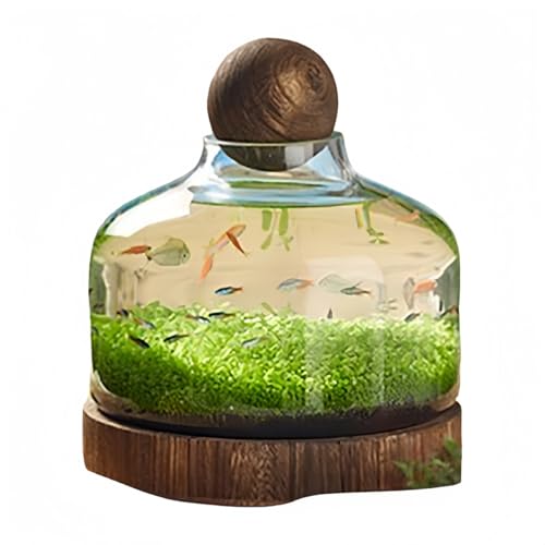 GEGEBOMTXO 金魚鉢 水槽ボトル ンドスケープ魚鉢 透明ガラス 和風 厚手エコボトル 木製トレイ 厚手エコ素材 水耕栽培 マイクロランドスケープに最適 家庭用インテリア水槽 ランドスケープ魚鉢 (透明ガラス,スタイルC)