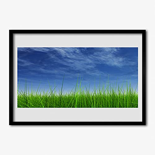 Affiche encadrée 70x50 contre les murs vides deco nature herbe