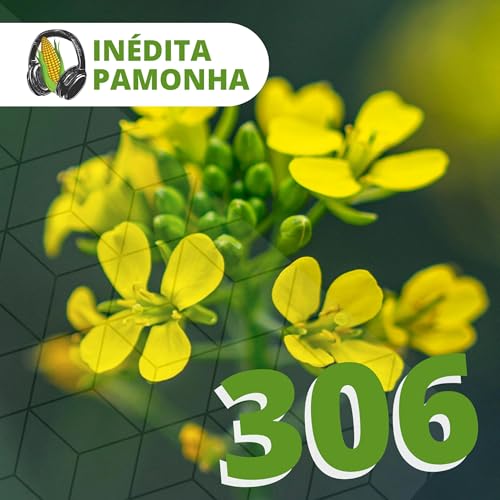 In&eacute;dita Pamonha 306 - O Gr&atilde;o de Mostarda