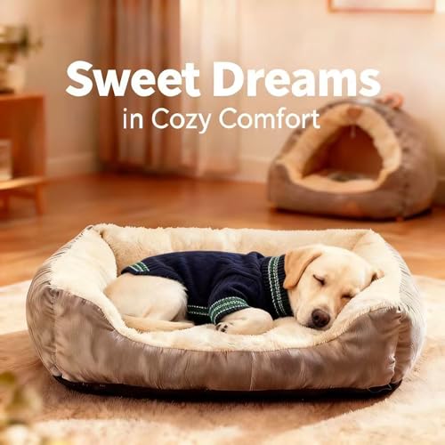 Image of Small /Medium Dog Sweater, Warm Dog Winter Coat w /Sleeves, Comfortable High Neck & Leash Hole, Premium Dog Clothes for Labrador-Best for Holidays, Daily Walks XL Blue