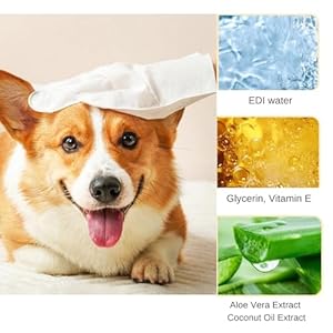 Pet-Bath-Wipes-for-Dogs-and-Cats-6-PCSDog-wipes-thickened-material-Cleaning-Deodorizing-Bathing-Wipes-Dog-washing-gloves-Nourishing-Grooming-Furfor-Daily-Care-and-Traveling-Give-your-pet-6-baths - Cucciolini Doodles   Pet-Bath-Wipes-for-Dogs-and-Cats-6-PCSDog-wipes-thickened-material-Cleaning-Deodorizing-Bathing-Wipes-Dog-washing-gloves-Nourishing-Grooming-Furfor-Daily-Care-and-Traveling-Give-your-pet-6-baths