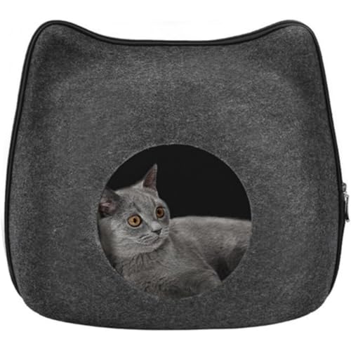 Refoya LnEX Lxbh h[^ ʋCQ xbh  v L^ ybgQ Ȃ̕~t 薰 nEX p LbgnEX 􂦂 lRxbh lR  LQ ETM Lp ybgpi l