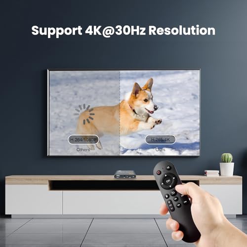 4K Digital Media Player, TV MP4 Video Player with HDMI/AV Output, Digital Signage Mini HD Media Players for USB Drives/SD Cards, H.265/HEVC, Looping, Auto Playback, Grey