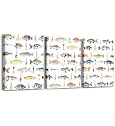 Feelyou Fish Picture Wall 12" x 16" 3 Piece Ocean Sea Animal Canvas Wall Art for Living Room Fish...