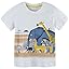Light Gray Elephant Light Gray Elephant
