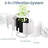 Fealixgener Core Mini Replacement Filter for LEVOIT Core Mini Air Purifiers,3-in-1 H13 HEPA High-Efficiency Activated Carbon for Removal of Smoke, Odor, Allergens, Pollen, 2 Pack