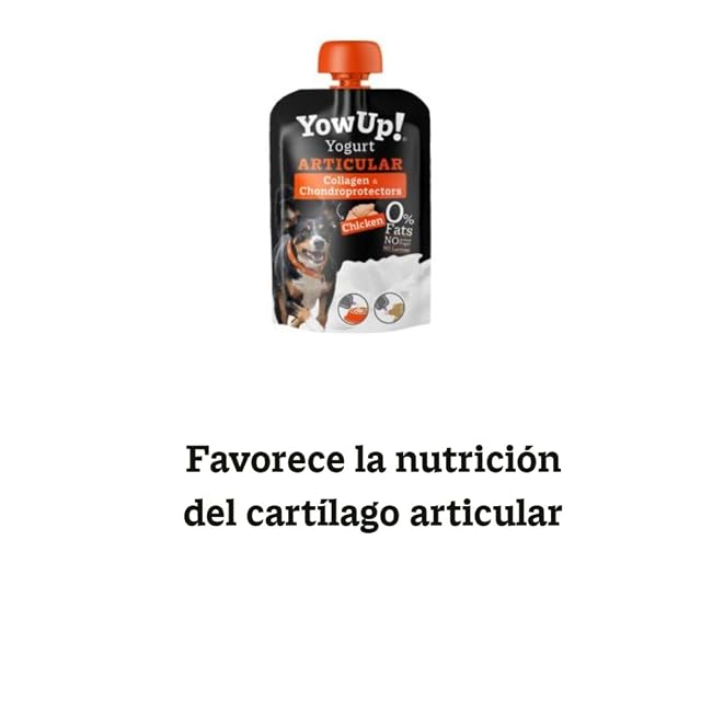 Foto 4 de 7 de Packs de 3 Yogur para Perros - Puede ser de Hair&Skin Salmón, Articular Pollo, LCASEI Pavo o Natural