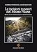 Le Incisioni Rupestri Del Monte Pisano. Guida Al Sito Archeologico Di Monte Cotrozzi - 3