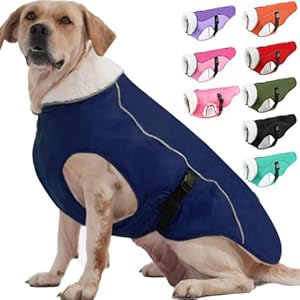 EMUST Dog Coat for Winter, Cozy Winter Jackets for Small/Medium/Large Dogs, Solid Color Dog Apparel for Cold Weather with Fleece Lining, Blue XXXL