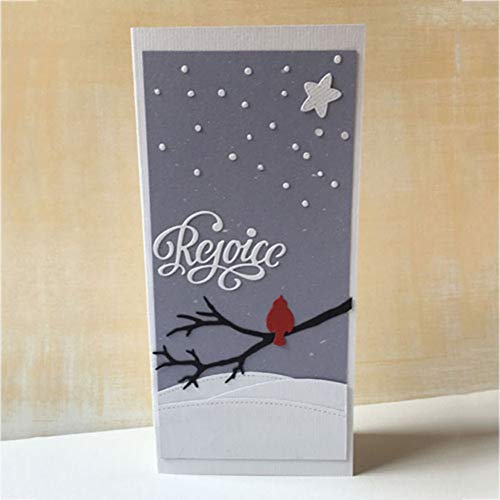 Napacoh Fustelle per Cartoncini, Stampi per Taglio...