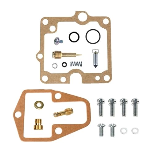 Kit de réparation Mikuni TM40 pour stopper les fuites de carburateur des DR600
