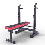 DIDIAN Panca Pesi Fitness,Panca Multifunzione,Pieghevole Panca Pesi,Regolabile Attrezzature per Il...