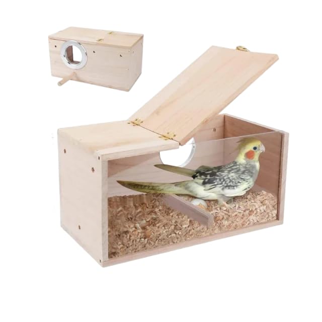jkahh Diseño transparente para periquitos, cacatúas, pájaros, casa fácil de limpiar, casa de loros, bordes lisos, caja de anidación, suministros para pájaros, madera, L