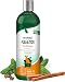 Vet’s Best Flea and Tick Advanced Strength Dog Shampoo, 12 oz